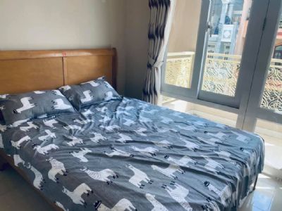 Khai trương Căn hộ dịch vụ full nội thất 47 Sầm Sơn, Tân Bình. Diện tích: 42-45m2 Có tháng máy