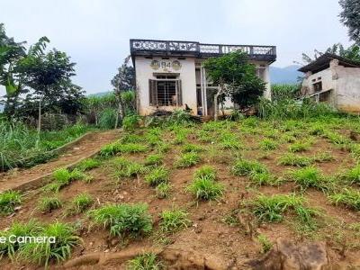 Chính chủ gửi bán lô đất 3057m thổ cư , diện tích thực tế 3800m tại Cao Phong Hòa Bình.