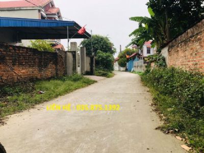 Bán đất Thái Lai, Minh Trí, Sóc Sơn, Hà Nội diện tích : 600m2  đất có 400m thổ cư