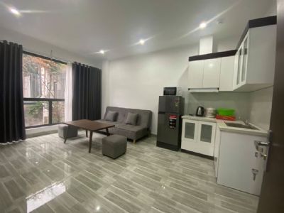 Chính chủ cần cho thuê CCMN mới tinh 100%  Penthouse 3 ngủ 1 khách 2 vệ sinh  1 ngủ 2vs