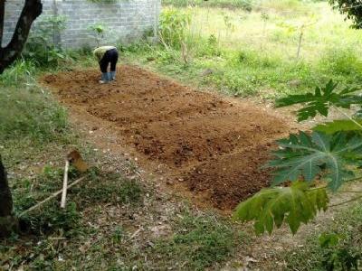 Cần tiền bán gấp 5741m 400m xây dựng giá 600k 1m xóm mòng tt lương sơn