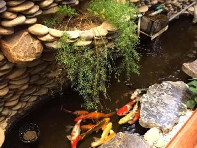 Bán nhà ngã 4 trung tín, phường Ngô mây, tp. Kon Tum  - Bìa đỏ chính chủ Vị trí mặt tiền đắc địa