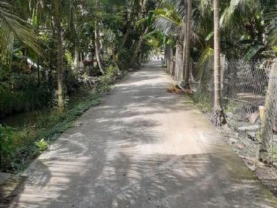 khách gửi bán lô đất CLN DT:10x20mặt tiền đường dal 3m ôtô vào tận đất Châu Thành Tiền Giang