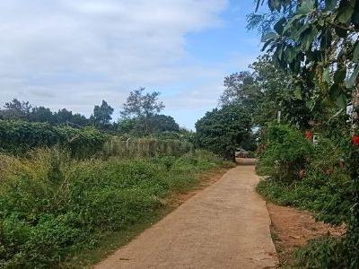 Cho thuê nhà chính chủ 2,5tr/1tháng Phường Tân An 1p khách,1pngu,1p bếp,1p vs.