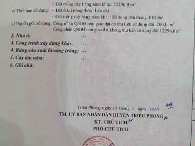 Kẹt tiền cần bán gấp mảnh đất vườn diện tích lớn ở hà xá,triệu ái,triệu phong,Quảng Trị