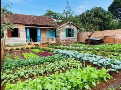 Bán nhà  mạc thị bưởi, trung tâm thành phố, ngay ngã tư quang trung mặc thị bưởi, phường thống nhất