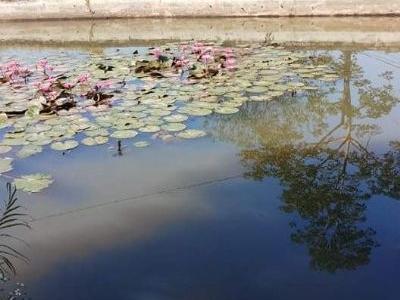 Bán đất gần 200m2. Có nhà c4 đang ở. Đia chỉ X.Chu. Trung Minh. Tp HB