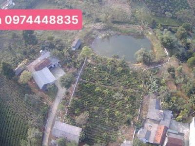 Bán Đất Thôn 9 ba trại ba vì 3150m2. Giá giật mình Đường vào xóm Di toàn đại gia Hn Mặt tiền 26m