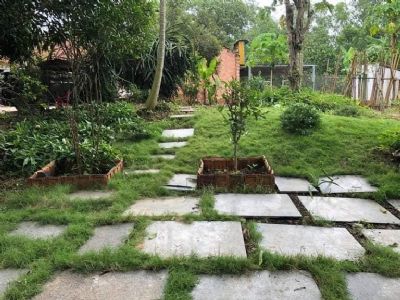 Cần bán gấp vườn cam quýt tại xã bàu cạn huyện long thành tỉnh đồng nai. Di sg chua toi 40p.