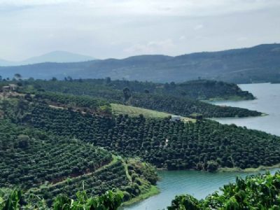 Bán đất View sông phong thủy cực đẹp tựa sơn hướng thủy. Diện tích 8600m² có hơn 100met mặt hồ