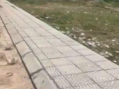 cần bán nhanh lô đất mặt tiền 8m ở Khu sầm uất bậc nhất xã Mai Trung, Hiệp Hoà