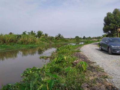 CẦN BÁN GẤP VƯỜN PHÚ AN. GIẢM GIÁ 2Tỷ. VƯỜN DÂN CHƯA QUA ĐẦU TƯ