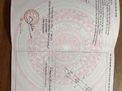 Mình có 1 lô đất tại tổ 10 phường Tân Giang Tổng diện tích: 148,9m2 Đất ở: 100m ( 5m x 20m )