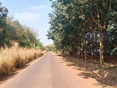 Bán Lô 2 mặt tiền đường quy hoạch. Hơn 2ha giá đầu tư tại vị trí đầu tư. Đất thuộc đồng phú.