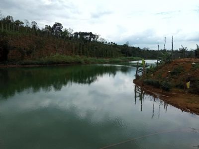 cần bán gấp 2.5ha đất cà phê tiêu bằng tuyệt đối đăk nrung.thích hợp làm fam.nghỉ dưỡng Gia đình