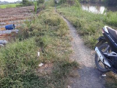 Bán 1.300m2 ngang 50 dài 27 ở long thắng lai vung đồng tháp.cách chơ ngã 5 cây trâm 2km