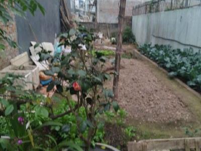Chính chủ Bán Đất Khu Vực Chợ Cầu Gia Lộc An Giá 319tr DT:65m2, mặt tiền 6,6m,nở hậu 6,8m