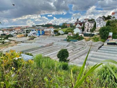 Cần bán đất đường Nguyễn Hữu  Cảnh, Phường 8, Đà Lạt. DT: 403.85m2, Đất ở đô thị 300m2 Giá 11 tỷ