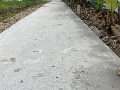 Lóc 5 lô Giá 260tr/lo Ấp 5 Lạc Tấn Tân trụ Long an 5*23 123mv Thổ cư 100% bê tông xe hơi  7 chỗ