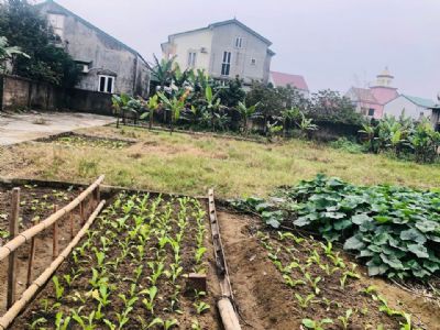 630tr có ngay lô đất tp Vinh Đất Phường Hưng Dũng ngõ Đường Nguyễn Viết Xuân Cần bán nhanh