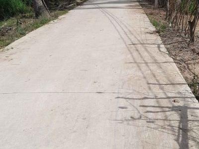 Bán đất nền huyện bình đại 12×42 giá 350 Lh 0397993569 gặp tuấn