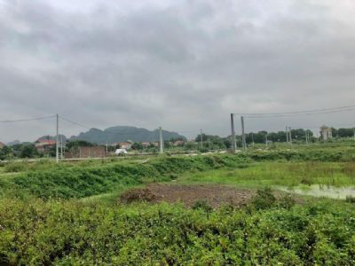 Bán “GẤP” lô đất chính chủ, ở Tuân Cáo Ninh Thắng Hoa Lư Ninh Bình DT 308m2