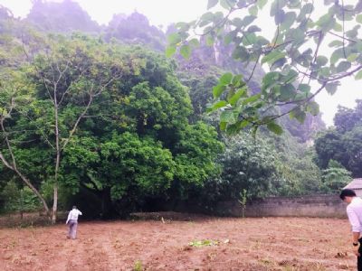 Bán đất tiềm năng cực kỹ rễ sinh lời với Diện tích 2700m2, 500m thổ cư, Tại Trung sơn Lương Sơn