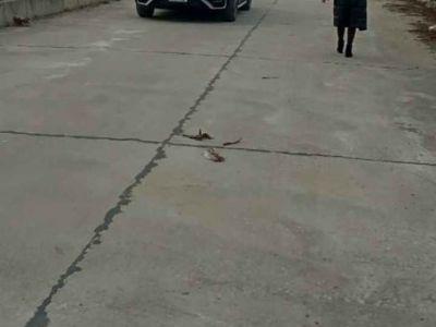 Khai xuân em chào bán lô đất đường đôi khu đô thị phong sơn diện tích 6x19 em nó đẹp đủ đường