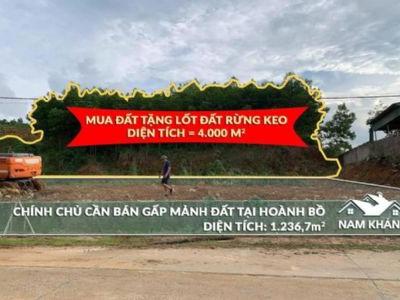 BÁN ĐẤT KHU 6 PHƯỜNG HOÀNH BỒ Mảnh đất hiếm hoi còn xót lại gần trung tâm 𝗣𝗵ường
