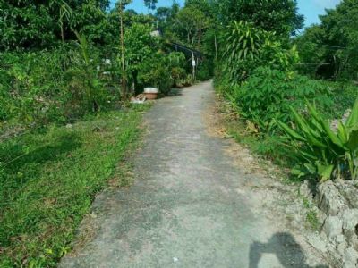 BÁN NỀN THỔ CƯ KÊNH 59 VỊ TÂN, TP. VỊ THANH, HG Nền cao ráo. Đất đẹp vuông vứt