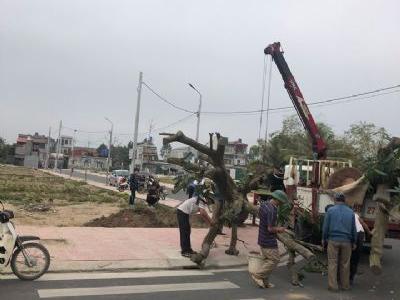 Mở Bán 102 Lô Đất Quy Hoạch Đấu Giá Thị Trấn An Bài