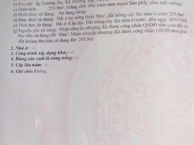 Bán đất Thị Xã Hoà Thành Hẻm 36 Trịnh Phong Đáng, Trường Tây, lộ 10m sắp lên nhựa, hậu bao dài