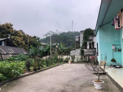 Bán nhà cấp 4 rộng 270m2 toàn bộ đất ở có vườn rộng cam đoan nhà đất chính chủ  Ngõ rộng ô tô vào