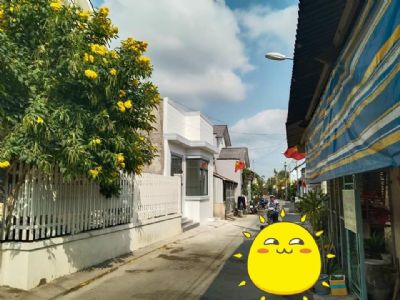 Bán Căn Nhà đẹp, mới 100%, Mặt tiền đường nhựa 6m, nội ô Tp.Trà Vinh  nhánh nhựa 6m