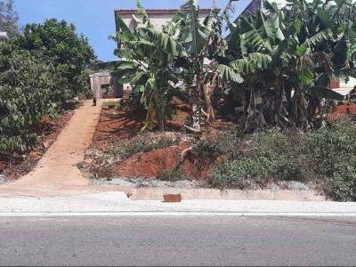 bán đất đường nhựa DT 10*54,5  đất thị trấn Nam Ban cách đà lạt 22 km thế đất Dương triền thoải nhẹ