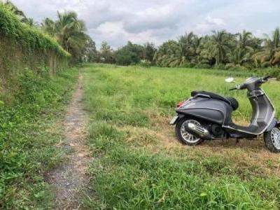 Bán Đất phường Phú Tân bến tre cách lộ Vành Đai 150m kèo thơm cho nhà đầu tư 340triệu/dt 155m