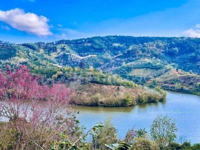 CẦN BÁN Mảnh đất xây dựng view đẹp như tranh vẽ, phù hợp xây villa, mở cafe, homestay, Đà Lạt