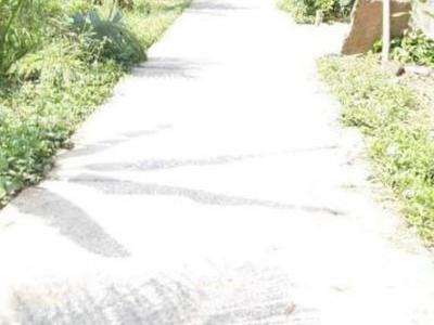 Bán đất Diện tích 1528m2 cay lau nam,duong dan xe hoa lam vao tan noi, duong thong, Phước Thạnh