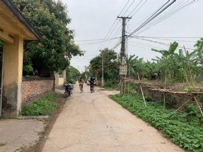 Duy nhất còn 1 lô đông tảo hàng mới đét nhé,giá  lại hạt rẻ