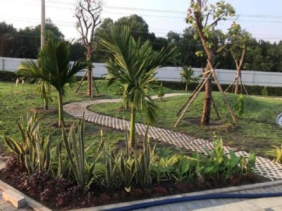 DỰ ÁN NHÀ PHỐ ELITE LIFE Xã Long Hậu, Huyện Cần Giuộc, Long An.