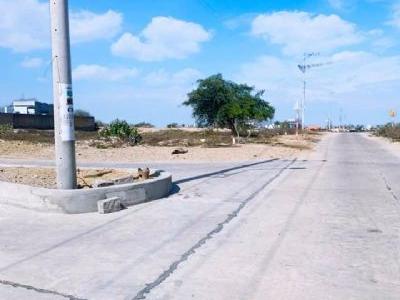 Bán đất khu tái định cư Bá hà 2, phường Ninh Thủy tx ninh hoà Hướng tây Diện tích 160m2