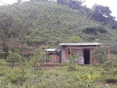 Bán đất vườn, đồi 1,8ha: Đất vườn 1.200m; đất đồi 16.800m đã trồng keo 1,5ha Có điện Tổ Khuổi Lặng