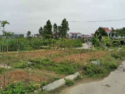Cần bán lô Đất Đẹp ( Lô Góc) khu giãn Dân đấu giá, tại Thôn Kép, Xã Hương Gián, Yên Dũng, Bắc Giang