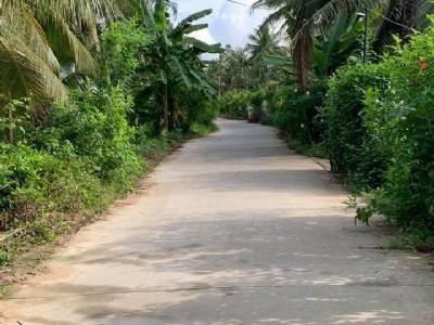 BÁN ĐẤT VƯỜN DỪA PHÚ HƯNG, TP. BẾN TRE Dt 3357m2 (300m thổ cư) ngang 58m