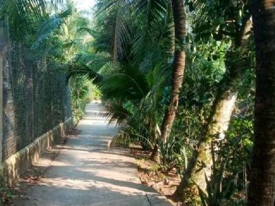 Bán 1000m2 Đất vườn bưởi chính chủ, cách cầu Rạch Miễu 1km hướng về bến phà cũ Call 0978797575