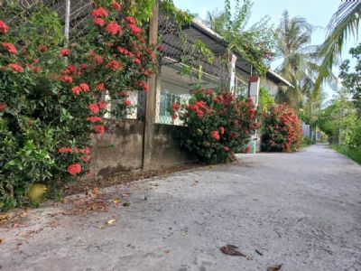 BÁN ĐẤT CỰC ĐẸP 364M2 100M THỔ CƯ XÃ PHÚ NHUẬN TP BẾN TRE CÁCH ĐƯỜNG 887 KHOẢNG 900M.