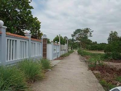 Anh mình cần ra đất lúa Dt khoảng 6024m2 (2 sổ) Đất thuộc Ấp chợ, long hựu đông, cần đước, Long An