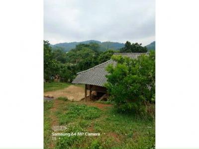 Bán đất Cao Phong 3000m có 400m thổ cư, sẵn nhà sàn view thoáng Thế đất thoai thoải view cánh đồng