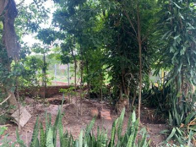 Bán đất kèm tặng nhà cấp 4 còn ở đc 10*46m thổ cư 100m2 Giá 550tr hướng đông nam Trần Quang Diệu