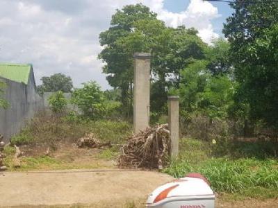 CẦN BÁN GẤP GIÁ VỐN LÔ ĐẤT ĐẸP ĐƯỜNG PHAN HUY CHÚ , PHƯỜNG KHÁNH XUÂN MT đường nhựa thông thoáng